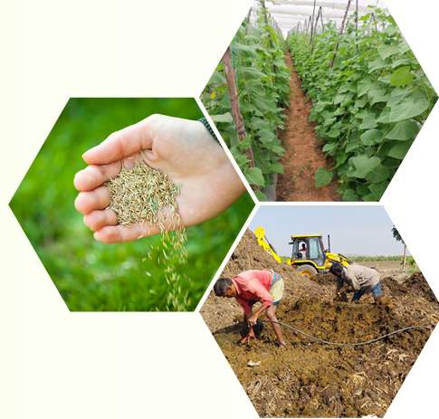 Gbiome Agriculture